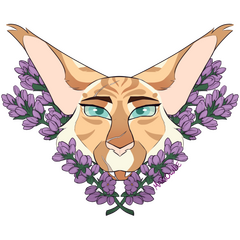 Transparent background + Added decorations